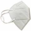 N95 Face Mask